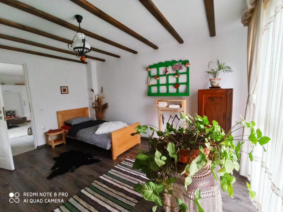 Hotel Casa Lucia Damuc Zewnętrze zdjęcie